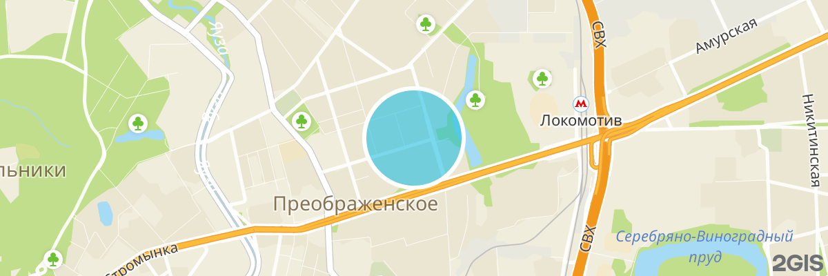2gis map