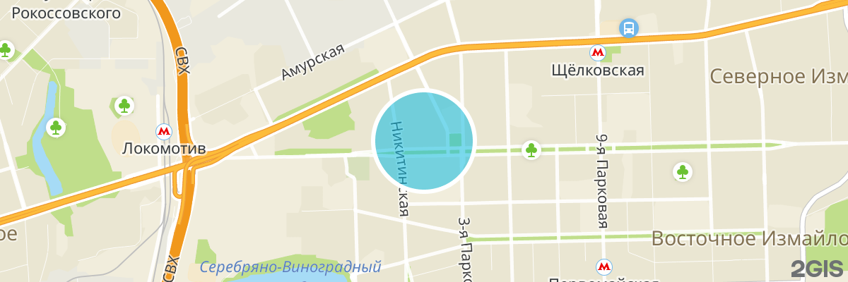 2gis map