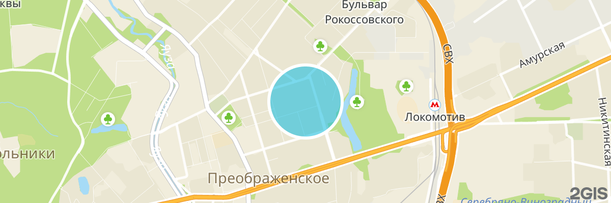 2gis map
