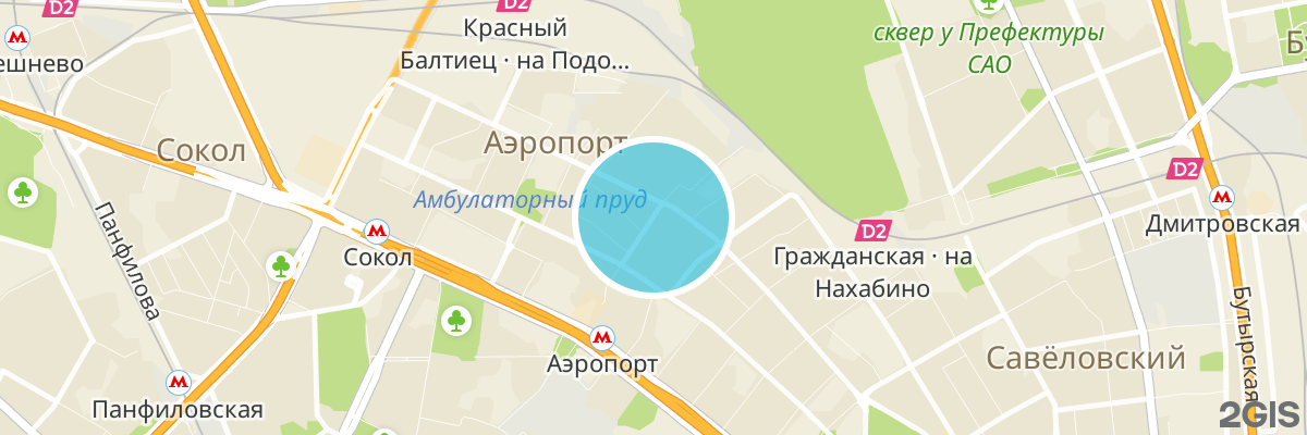 2gis map