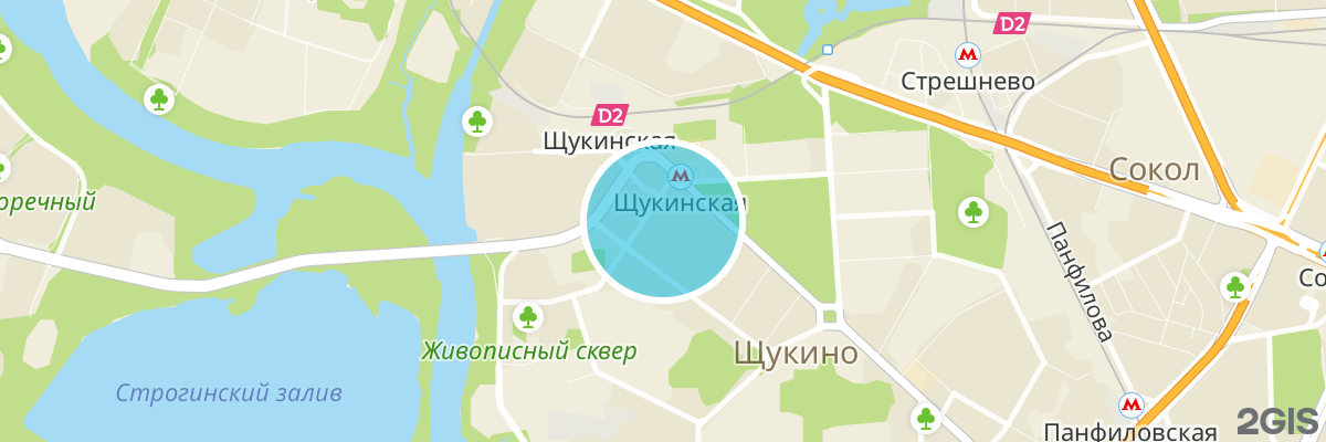 2gis map