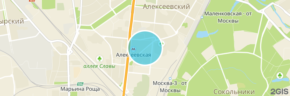 2gis map