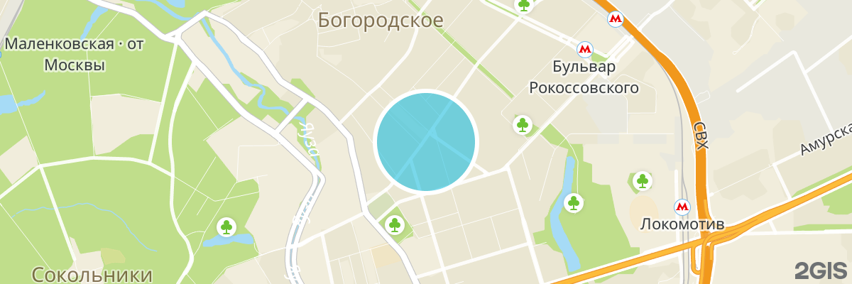 2gis map