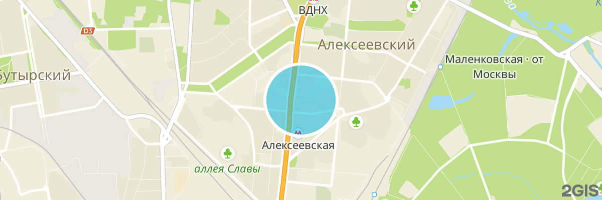 2gis map