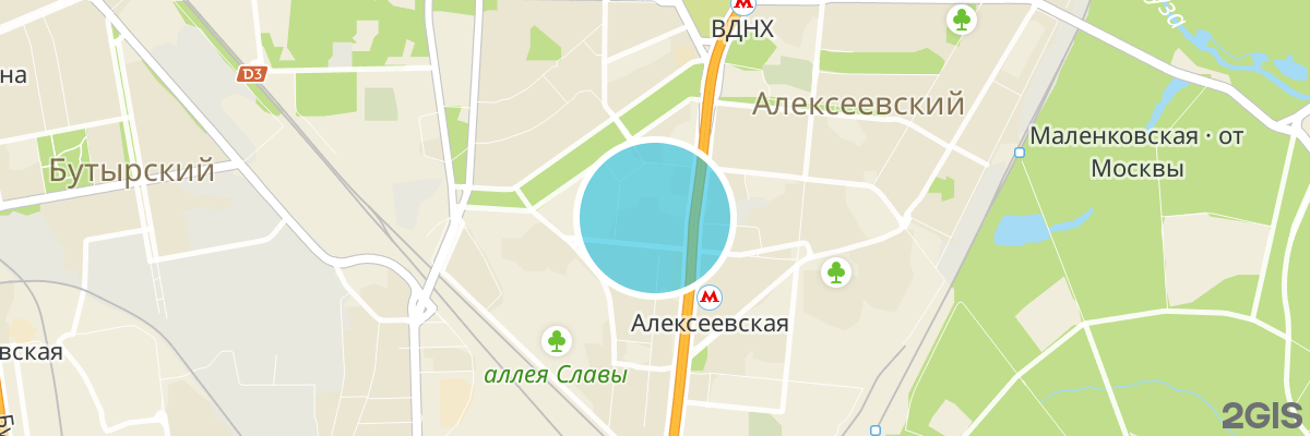 2gis map