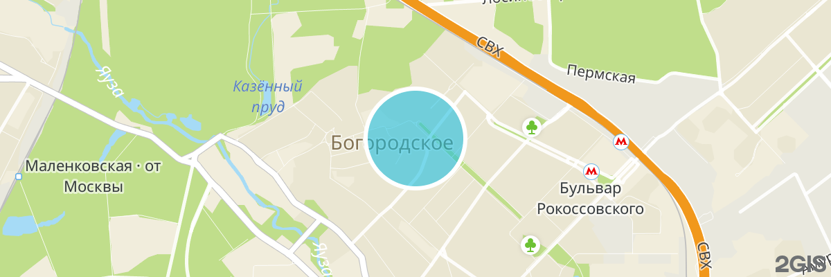 2gis map