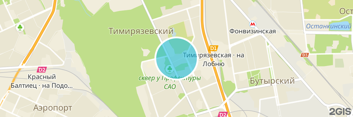 2gis map
