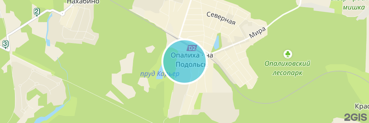 2gis map