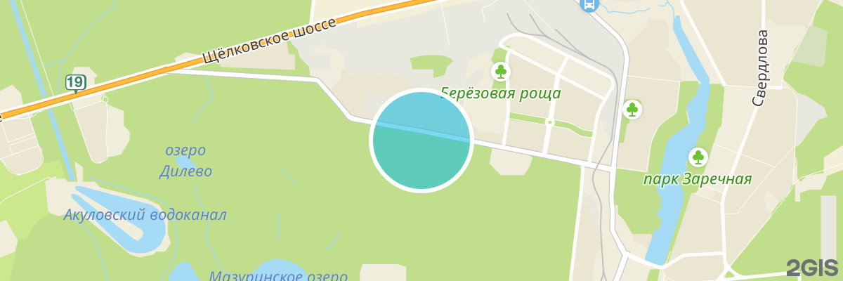 2gis map