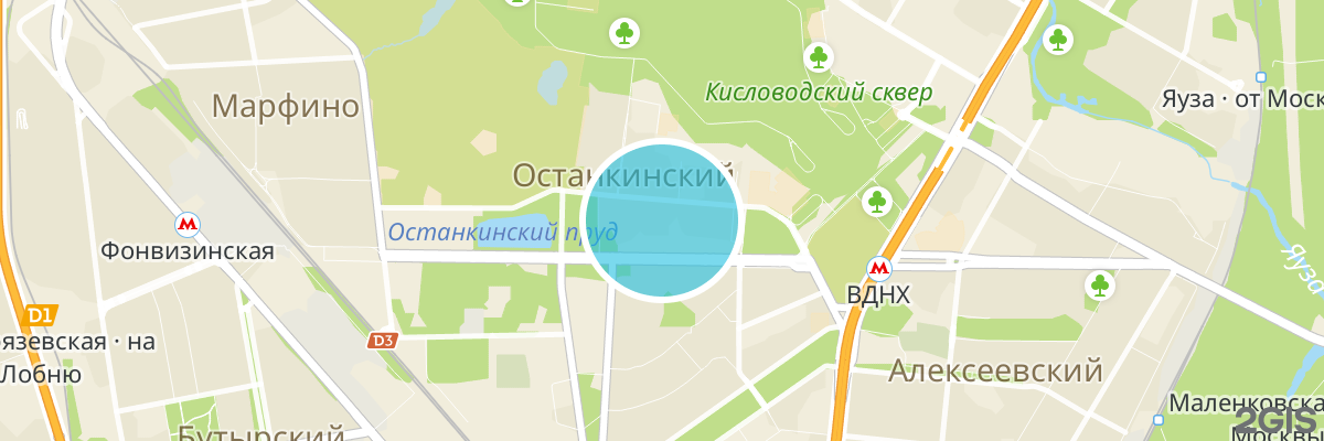 2gis map