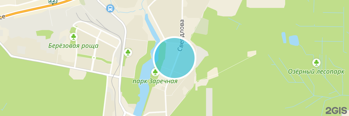 2gis map