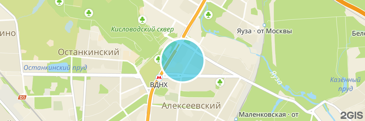 2gis map
