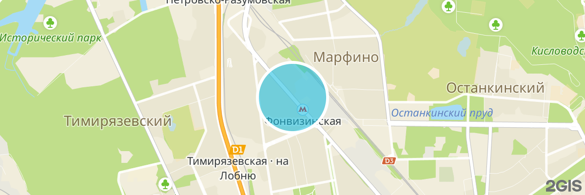 2gis map