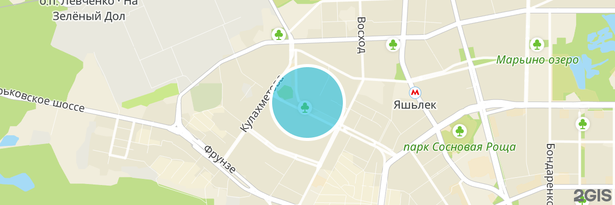 2gis map