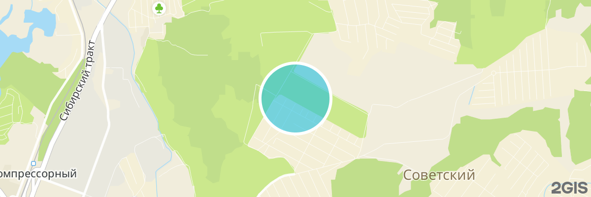 2gis map