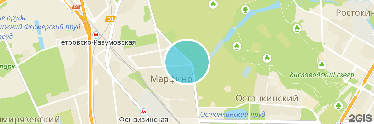 2gis map