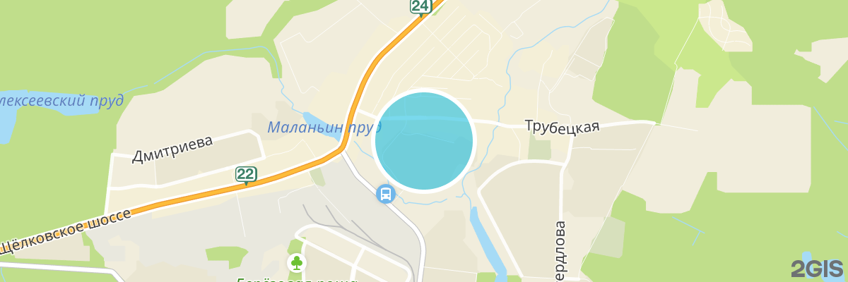 2gis map