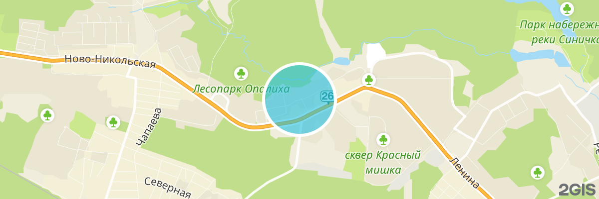 2gis map