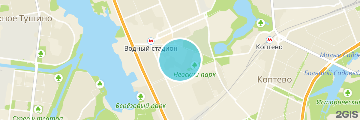 2gis map