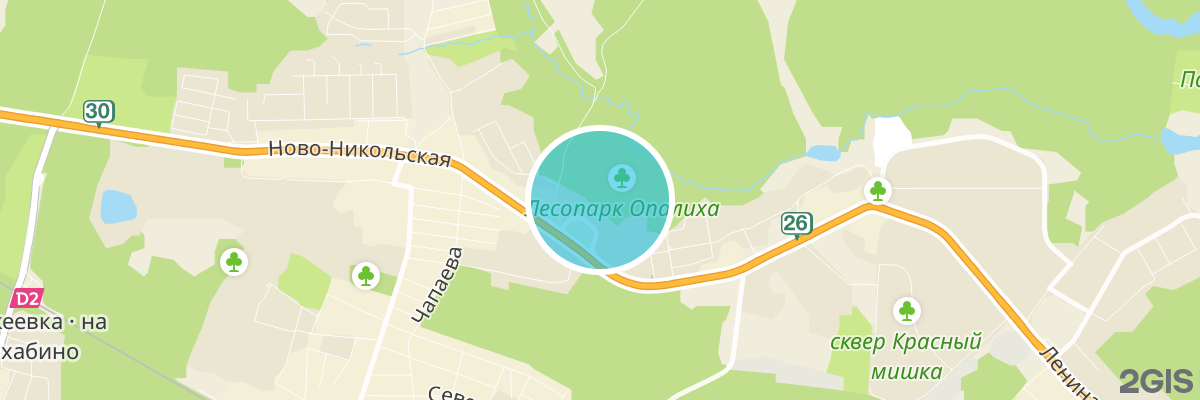 2gis map
