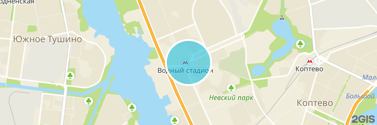 2gis map