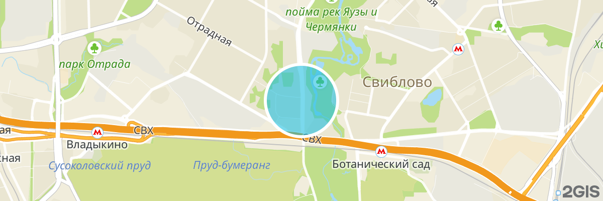 2gis map