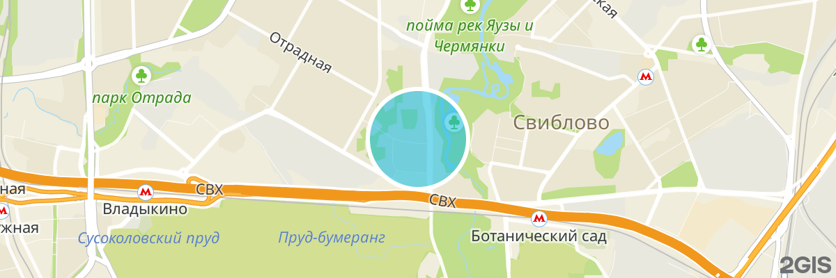 2gis map