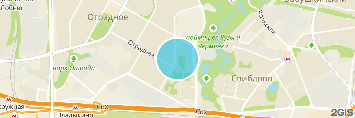 2gis map