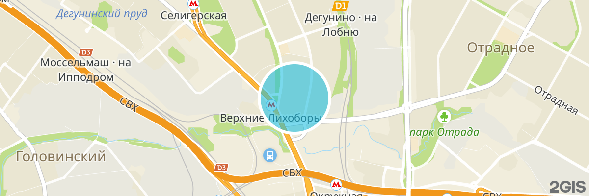 2gis map