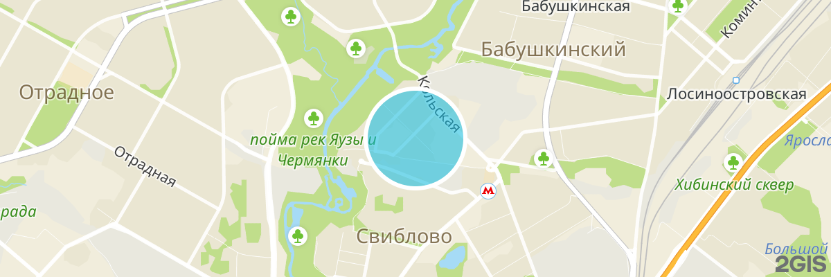 2gis map