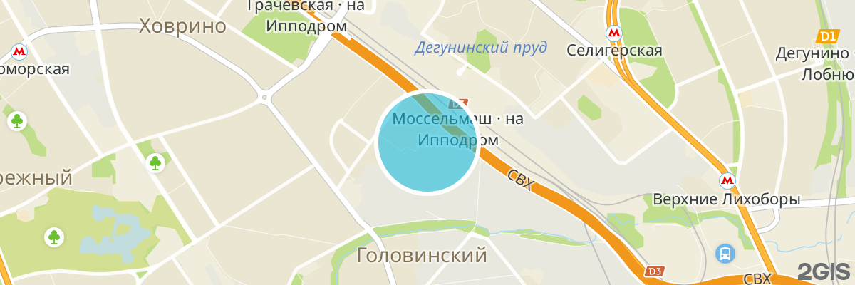 2gis map