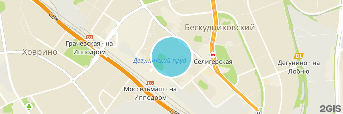 2gis map