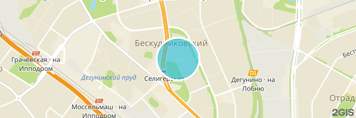 2gis map