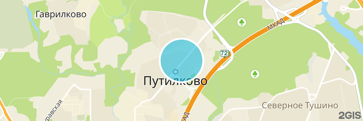 2gis map