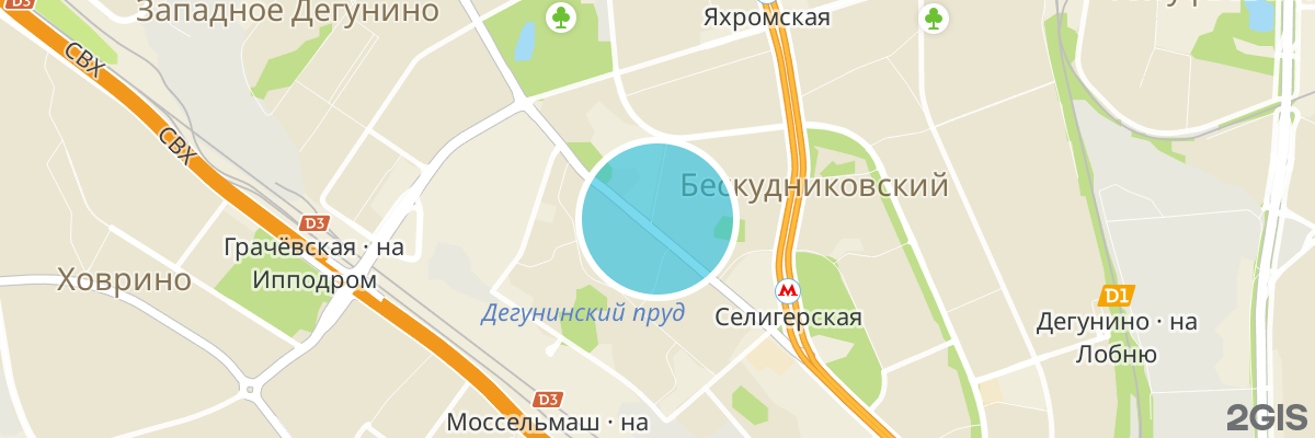 2gis map