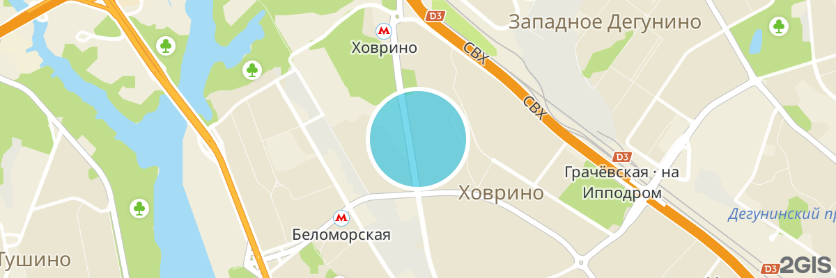 2gis map