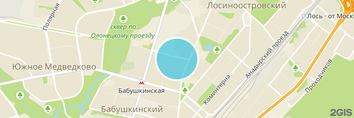 2gis map