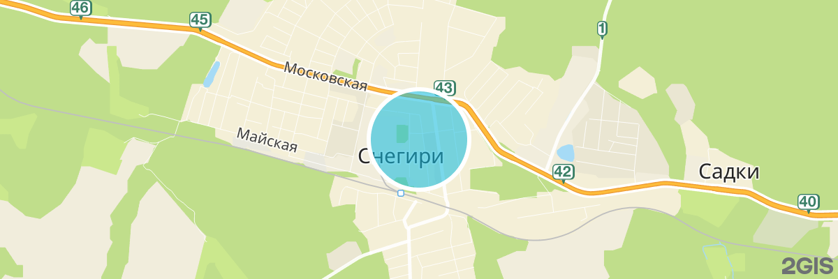 2gis map