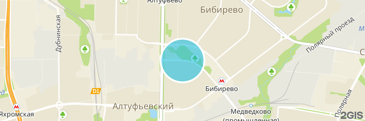 2gis map