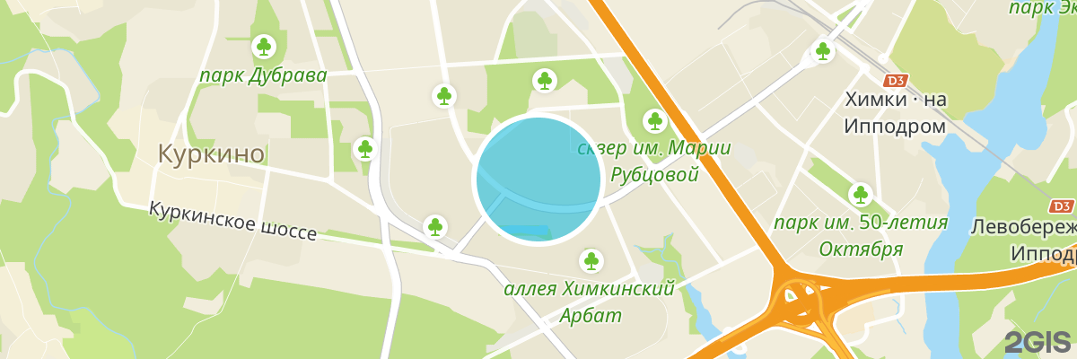 2gis map