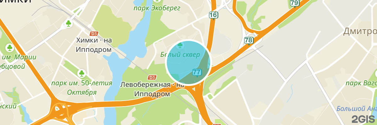 2gis map