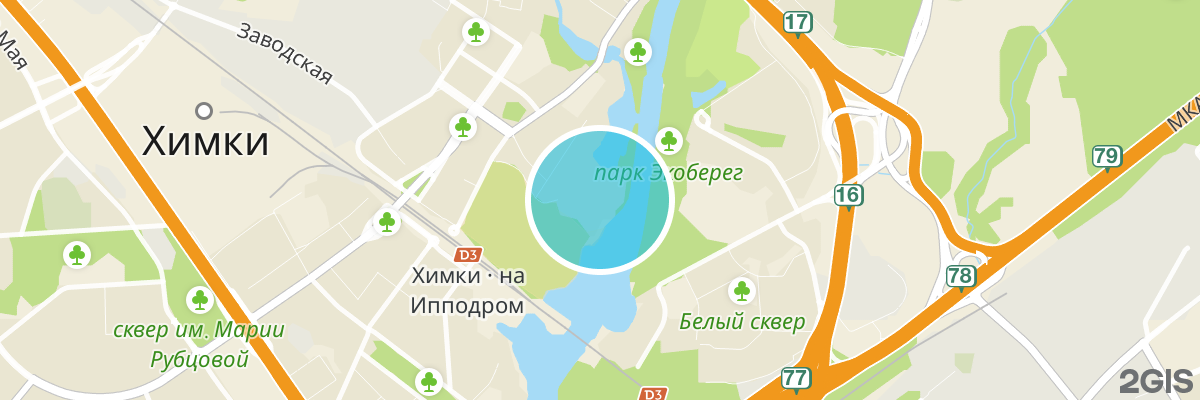 2gis map