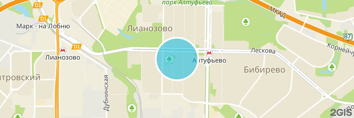 2gis map