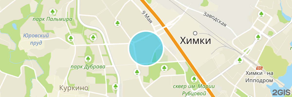 2gis map