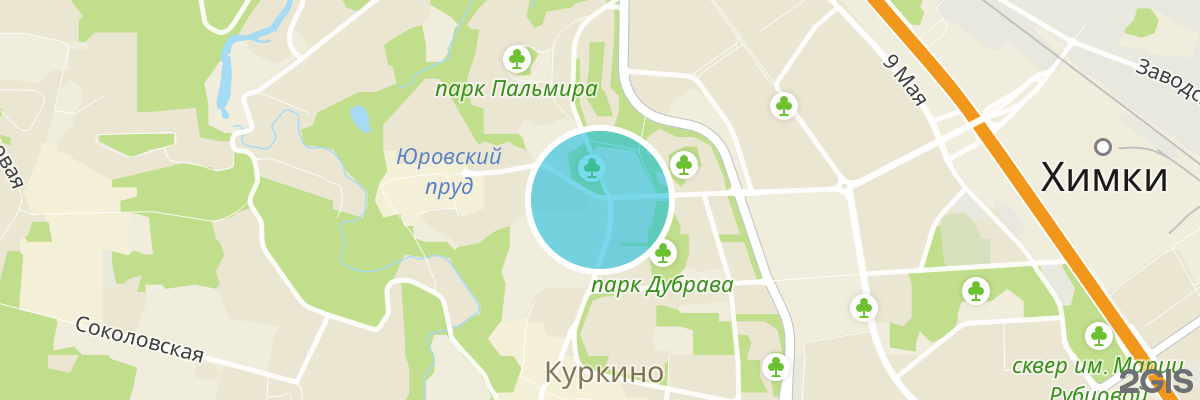 2gis map