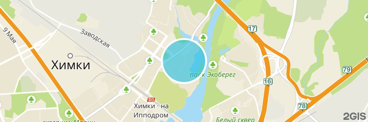 2gis map