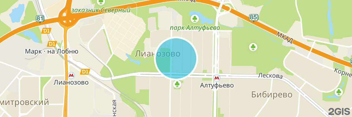 2gis map