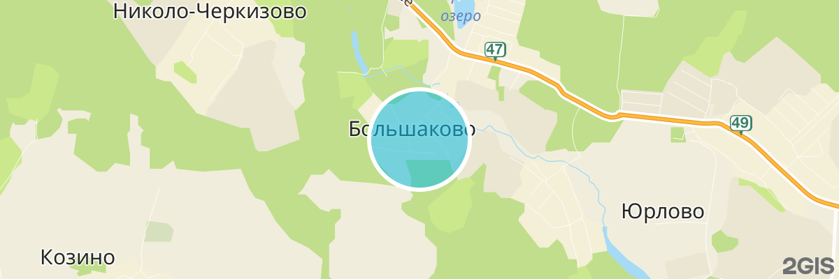 2gis map
