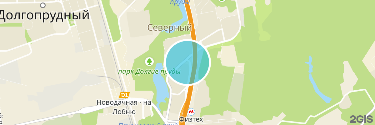 2gis map