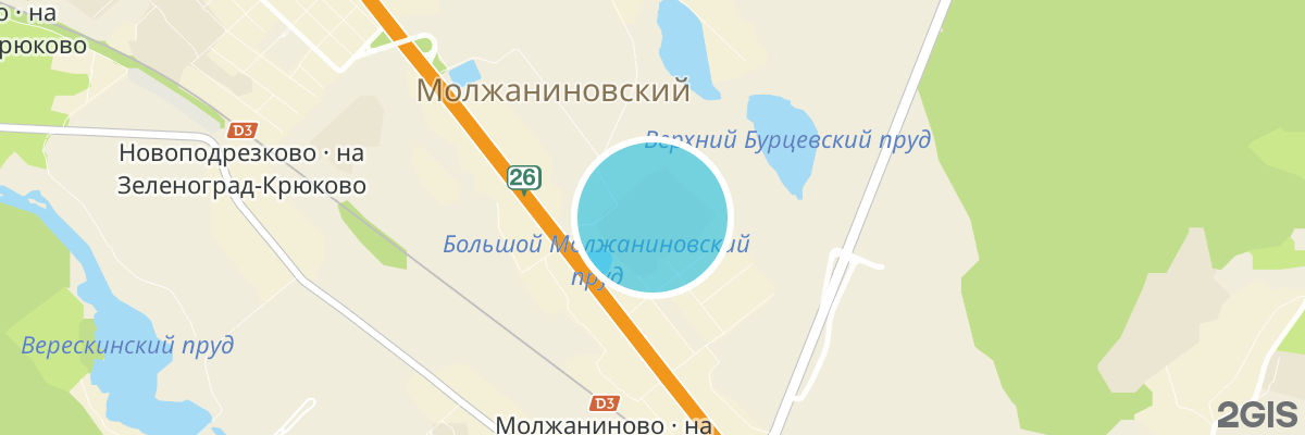 2gis map